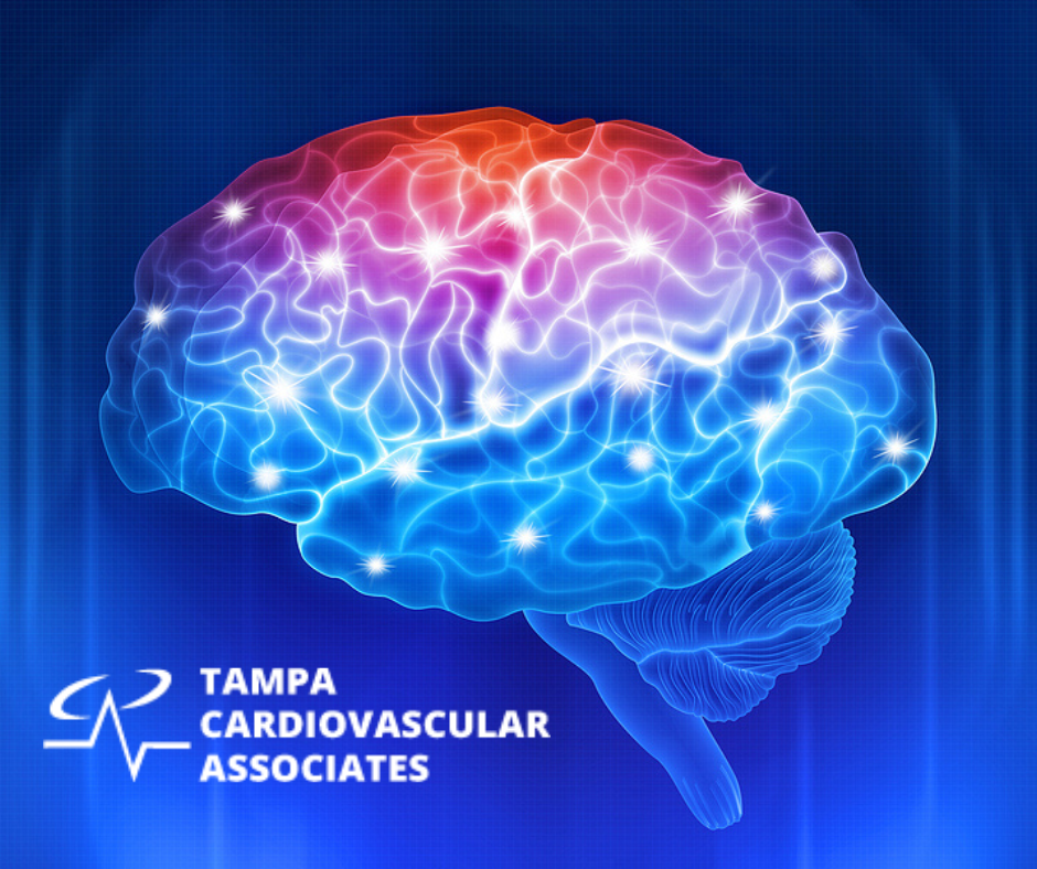 The Brain and Heart Health Connection Tampa cardio