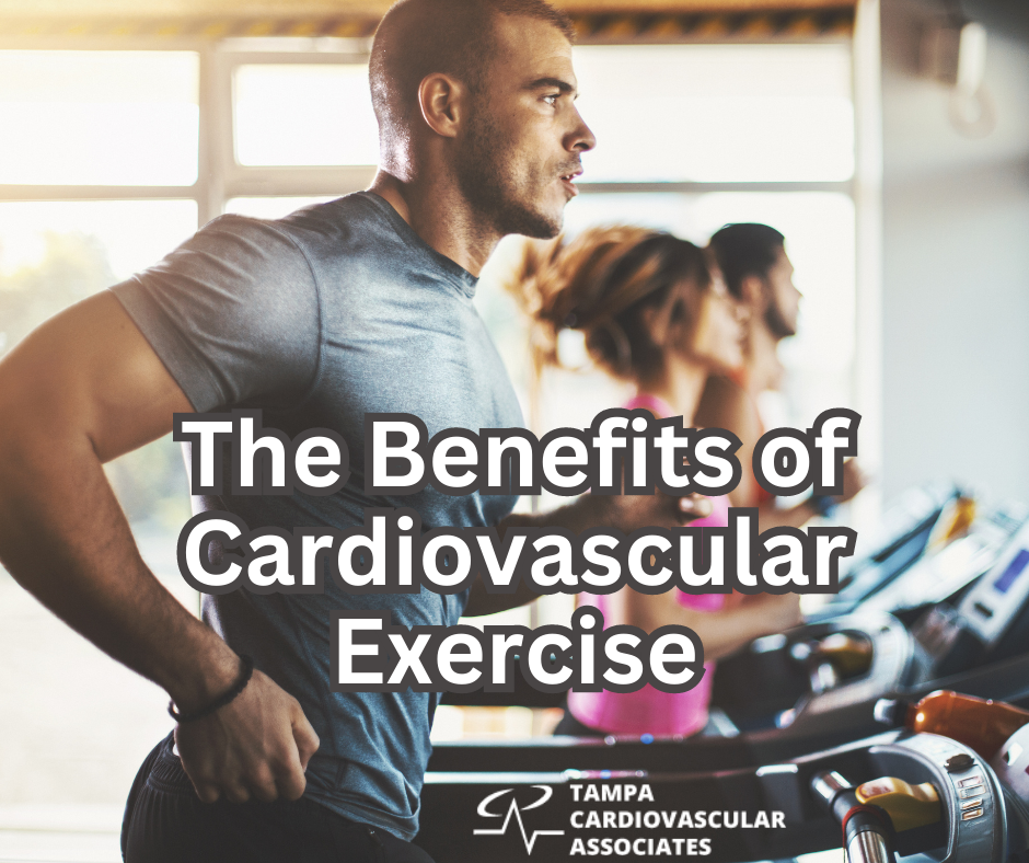The Benefits of Cardiovascular Exercise Tampa cardio